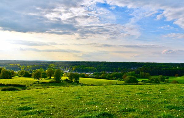 环境监测.png 环境监测.png