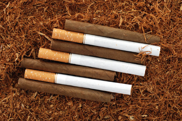 烟草检测.png 烟草检测.png